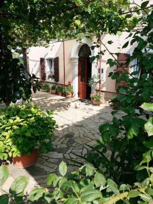 New Renovated Appartment Mauri Poreč Extérieur photo